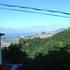 Moradia Arrendamento Novo Madeira Funchal