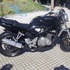 Suzuki Bandit 400 96