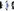 Voip Maxi
