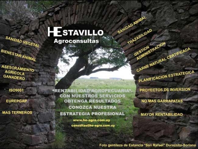 Hugo Estavillo