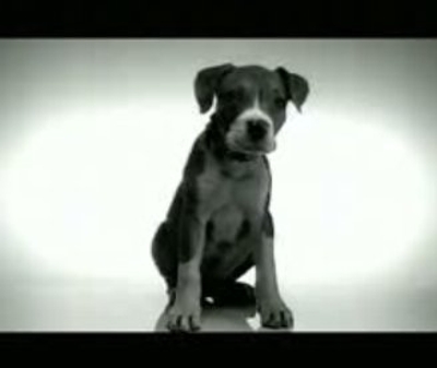 Snoop Dogg Dogg