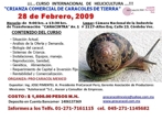 Asociacion Pro Caracol Mexico