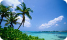 TORNARE TRAVEL & ADVENTURE