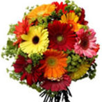 Picture of Tanmoy Sarkar