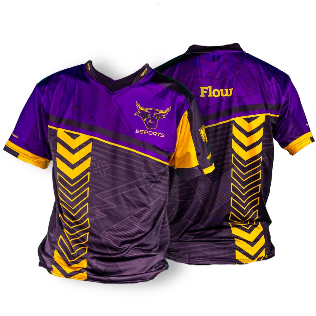 Purple and gold athletic jersey with Mavericks bull head logo and text that says Esports on the front and custom name field on the back.