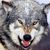 Wolfsnarl