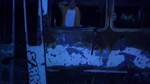 Imag0599