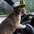 Cat%20sailor%20drive