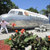 Plane