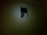 Img_20110625_042119