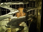Img-20110625-00025