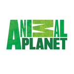 Animal-planet-logo
