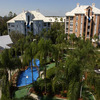 Cpgv1_small