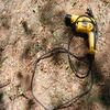 Dscf1710_small