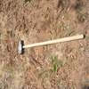Dscf1717_small