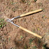 Dscf1718_small