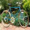 Schwinn1_small