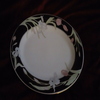 Dsc00100_small