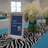 Zebra1_small