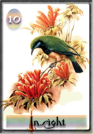 Insightcard