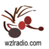 Wzlradio-small_small