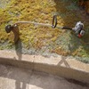 Weed_wacker_small