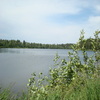 Dsc00299_small