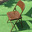 Folding_metal_chair2_thumb