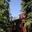 Back_house_1_thumb