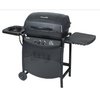 Bbqphoto_small
