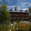 Oak_n_spruce_small