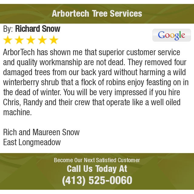Arbortech Arbortech0170 - Profile Pinterest