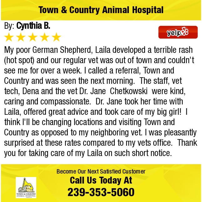 Clairmont Farms 97 Photos Amp 40 Reviews Local Flavor 2480 Roblar Ave Los Olivos Ca Phone Number Yelp Haulover Sandbar