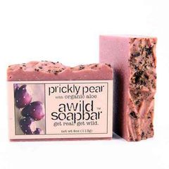 Prickly_pear_4b2eea19a7c79