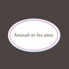 Aminah et les Amis