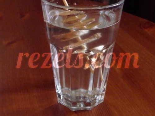 receta de infusión de jengibre por torpas