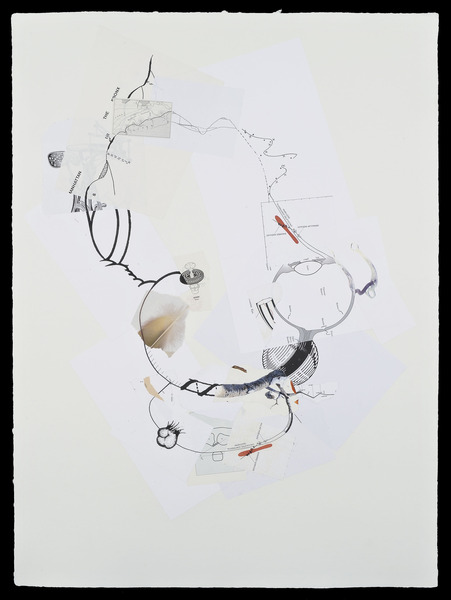Sharon Lawless, The Bronx, 2008