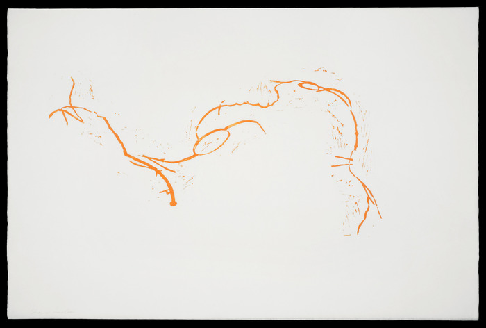 Sharon Lawless, Orange, 2009