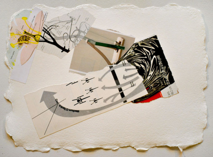 Sharon Lawless, Cans, 2010