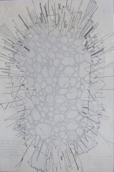 Phillip Buntin, Hermaphroditus, 2008
