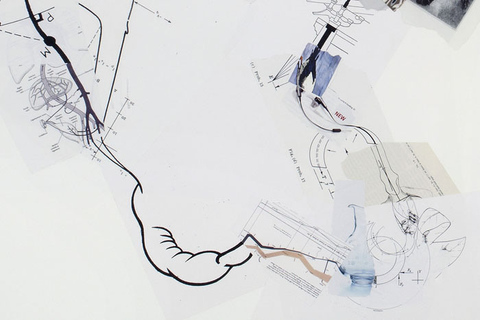 Sharon Lawless, Prob. 17, 2011