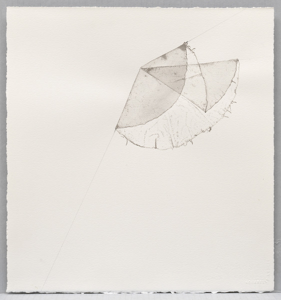 Liz Jaff, Medium Fold 5, 2009