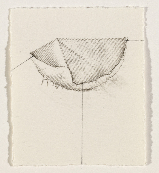 Liz Jaff, Small Fold 3, 2010