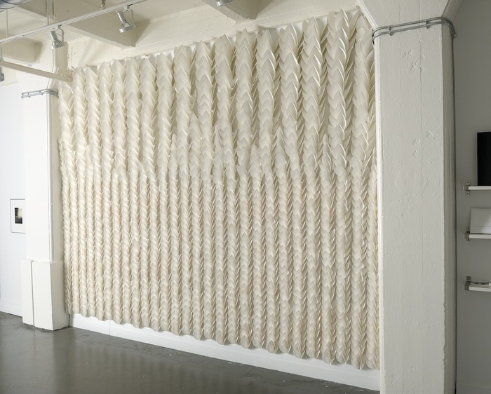 Liz Jaff, Hedge (Installation View), 2009