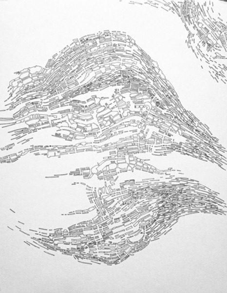 Colin Keefe, Architectural Pollination Study 16, 2010