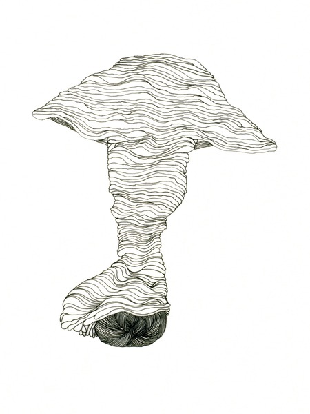 Deanna Lee, Mushroom, 2006