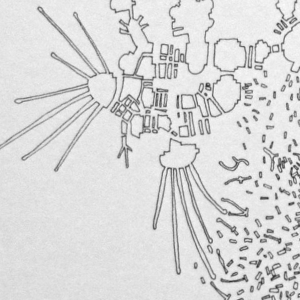 Colin Keefe, Architectural Pollination Study 11 (detail), 2010