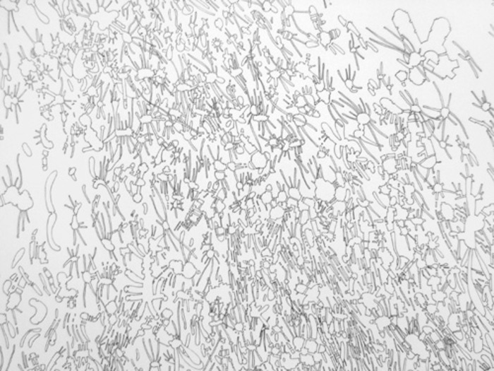 Colin Keefe, Rupture (detail), 2010