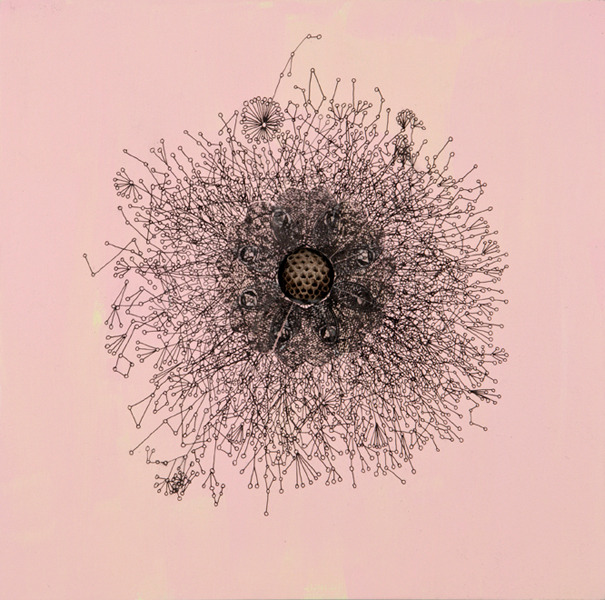 James Cullinane, Lace Passes Into Nothingness, 2009