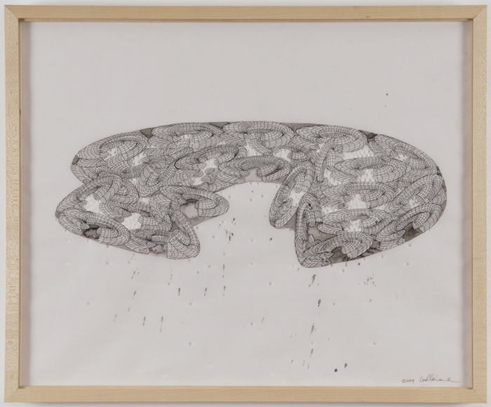 James Cullinane, Basket, 2010